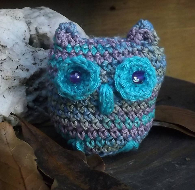 Little Owl