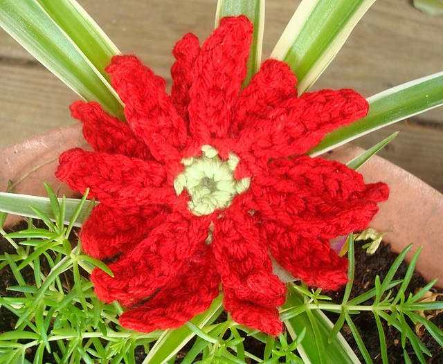 Flaming Leaves