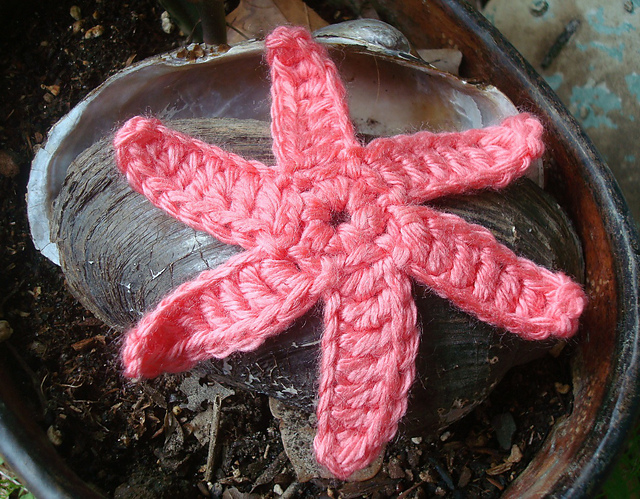 Star Blossom
