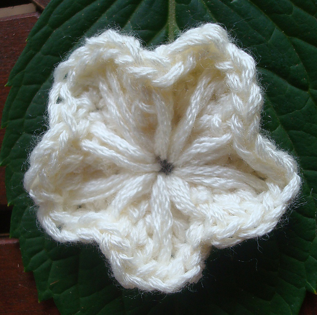Moonflower