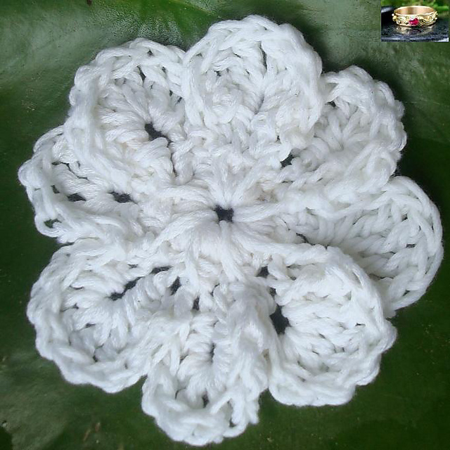 Coconut Delight