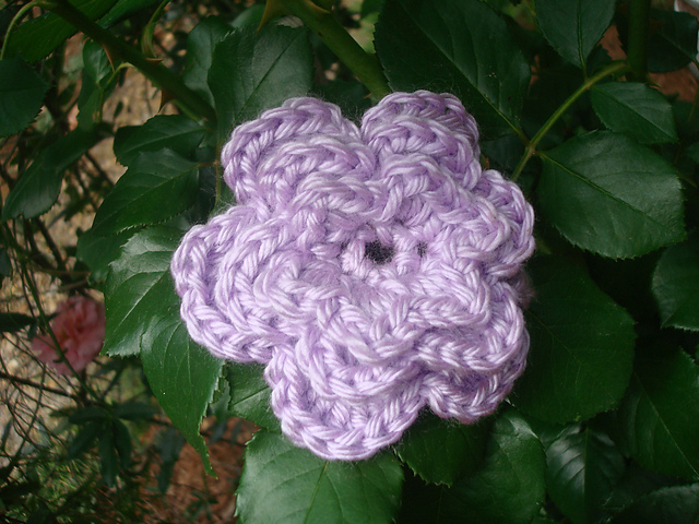 Rose of Hannah