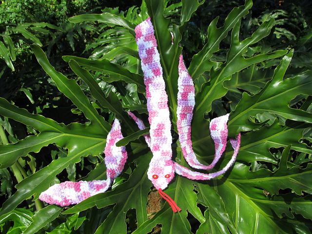 Super Fun Snake Scarf