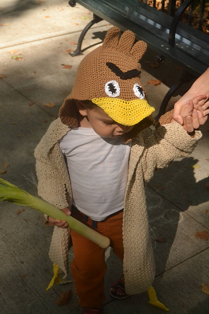 Toddler Duck Costume