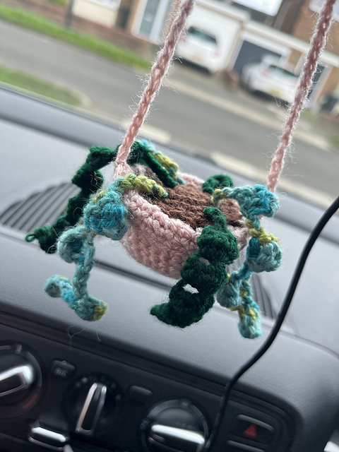 Mini Hanging Plant