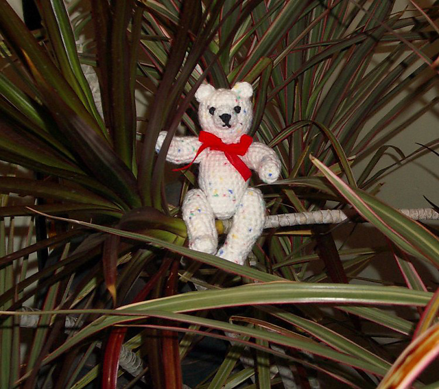 Better Bear