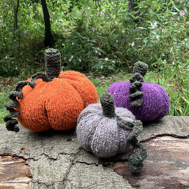 Pumpkin Patch Family Vol II