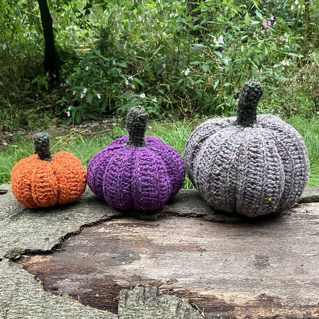 Pumpkin Patch Family Vol I