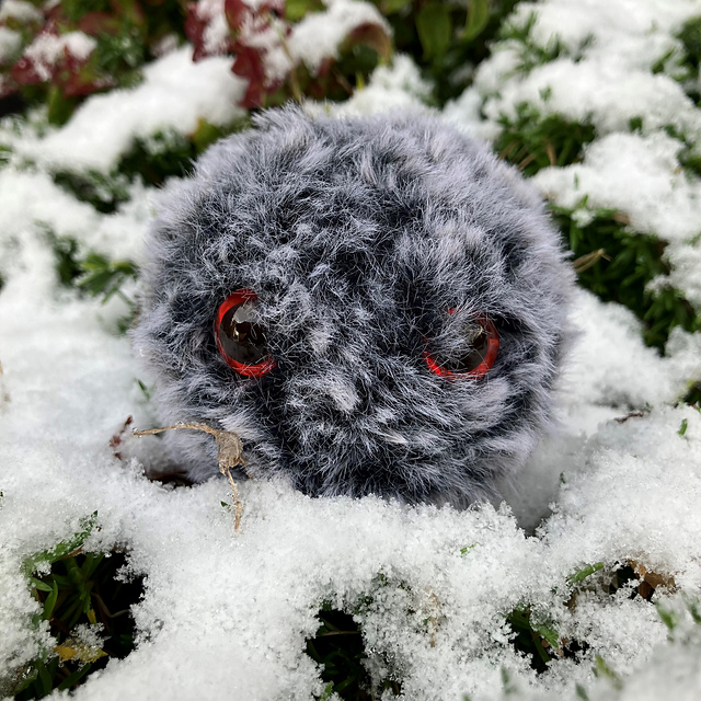 Wee Haggis