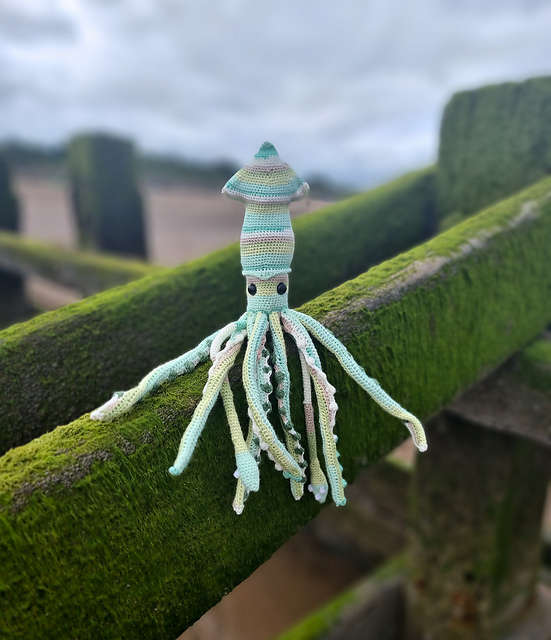 Cannoli the Squid