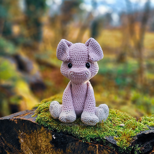 Pancetta the Pig