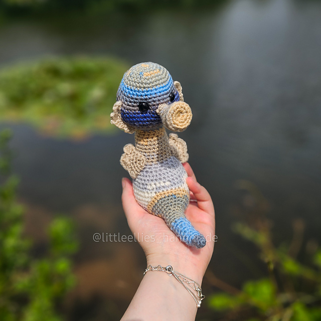 Strudel the Seahorse