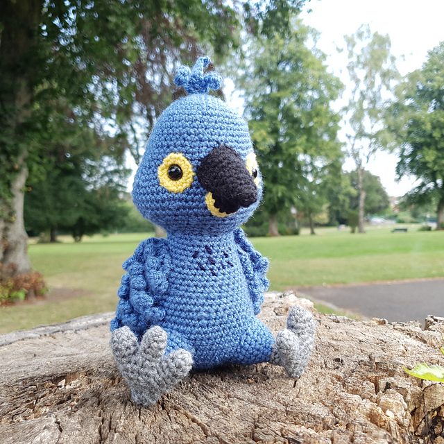 Cynthia the Hyacinth Macaw