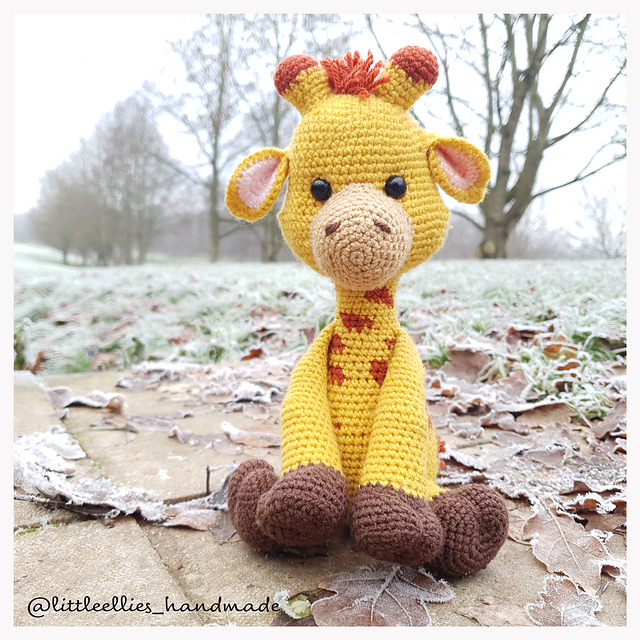 Caramel the Giraffe