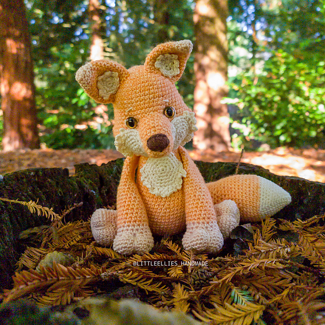 Calypso the Fox