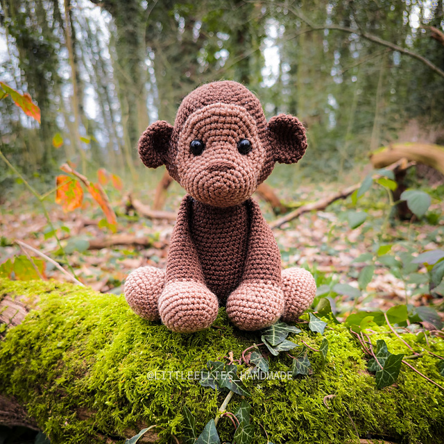 Cookie the Monkey