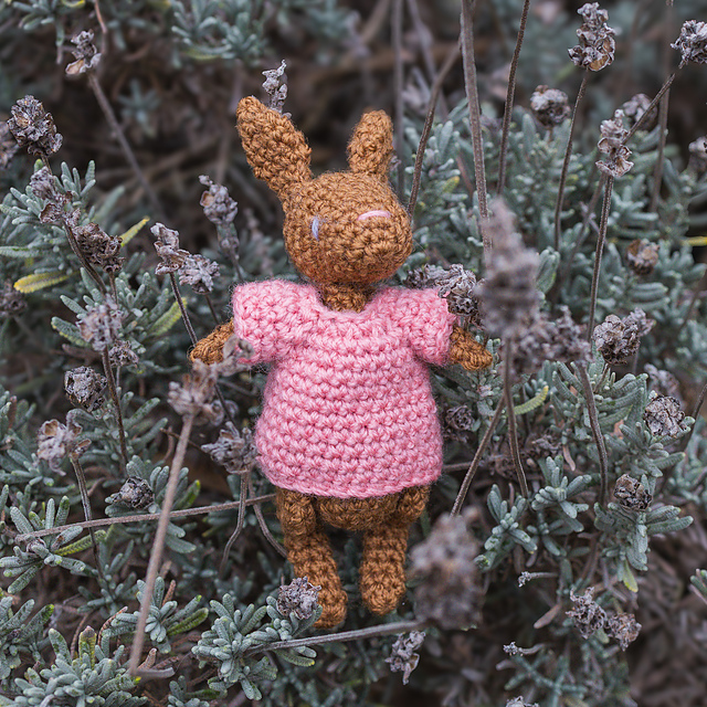 Roswin of the Rabbit Folk
