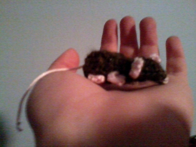 Little Brown Mouse