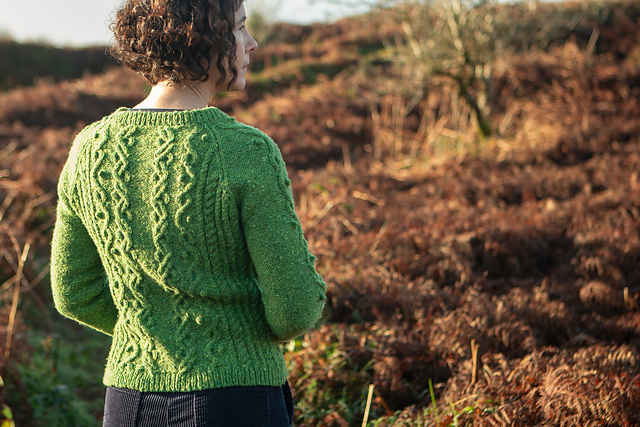 Portulaca Cardigan