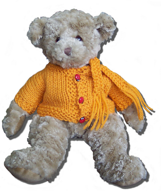 Charming Teddy Bear Scarf and Sweater