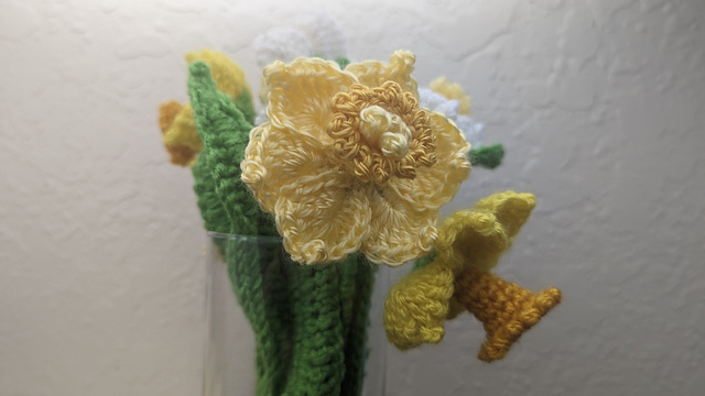 Daffodil