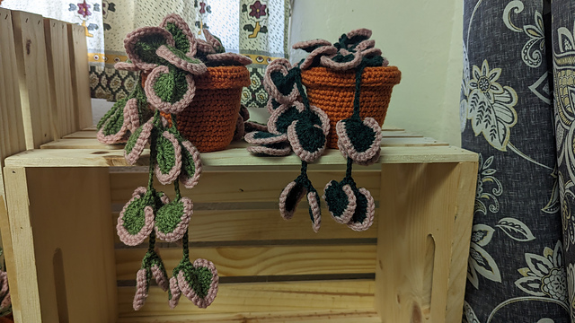 earnest hearts plants 鉢M検　rawlifefactory earnest hearts plants 鉢M検 rawlifefactory earnest hearts plants