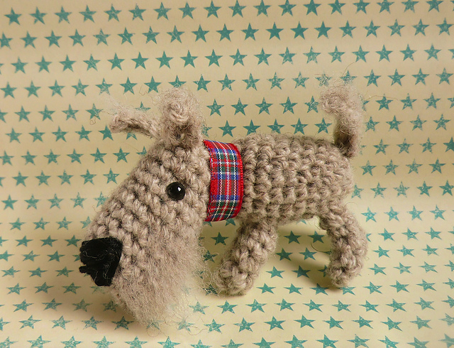 Little dog