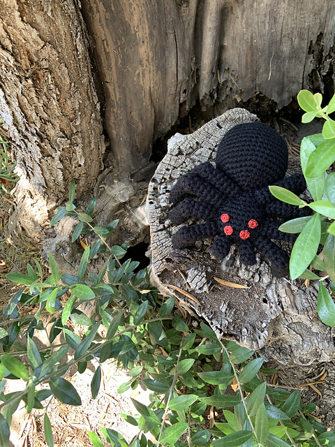 Spooky Spiders