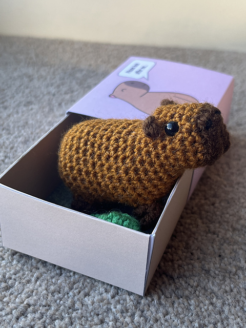 Matchbox Pet Capybara