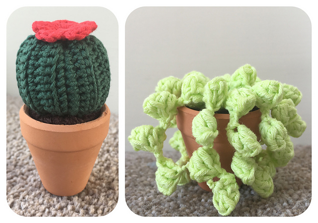 Mini Cacti Pair 1
