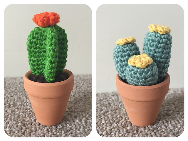 Mini Cacti Pair 3