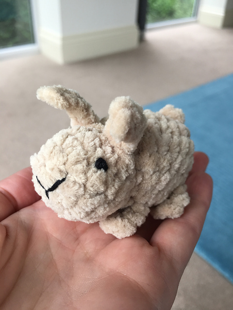 Baby Rabbit