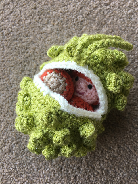 Conker Shell Pocket Pal & Poem