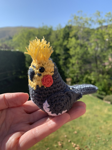 Cockatiel