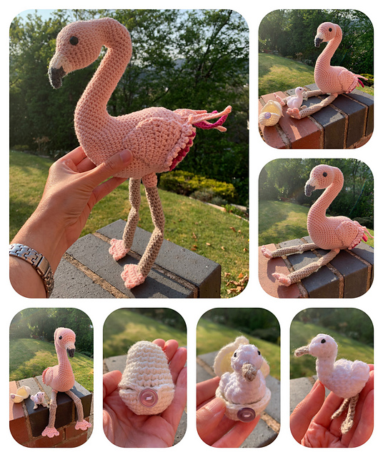 Flamingo with hatching chick