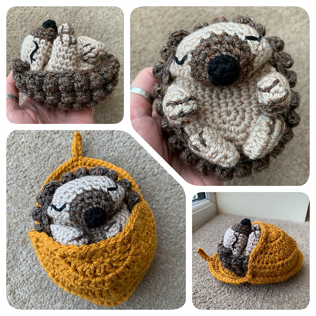 Hibernating Hedgehog