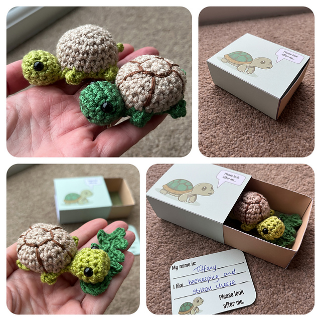 Matchbox Pet Tortoise