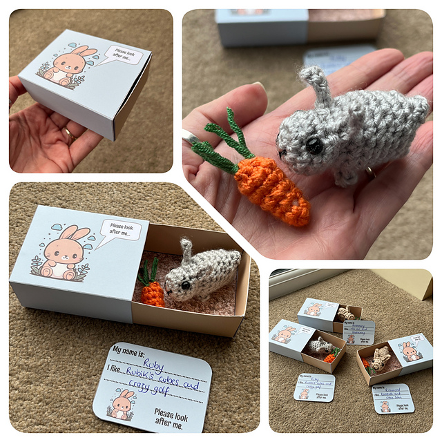 Matchbox Pet Rabbit