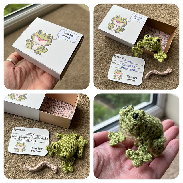 Matchbox Pet Frog