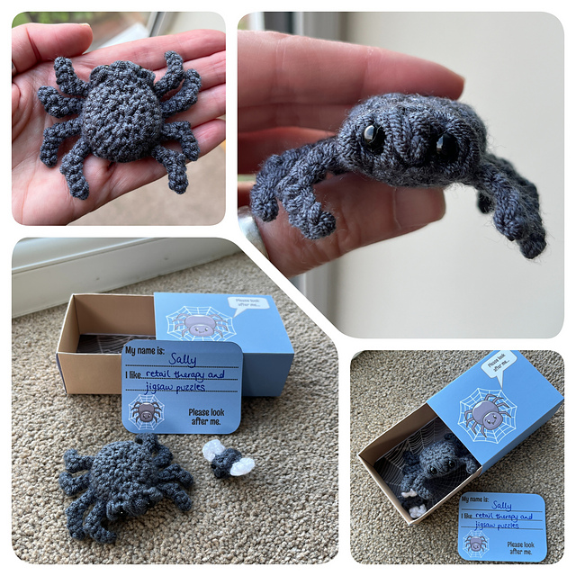 Matchbox Pet Spider