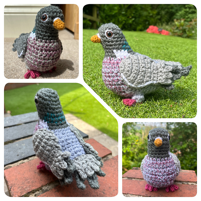 Pippin the Pigeon