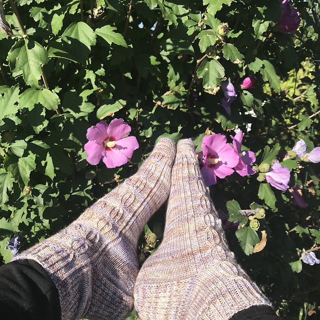 Chaussettes Jardin Secret