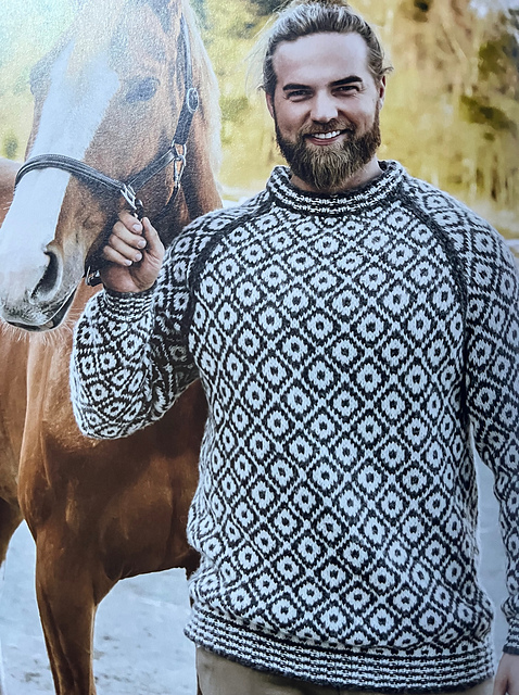 Windböen-Pullover