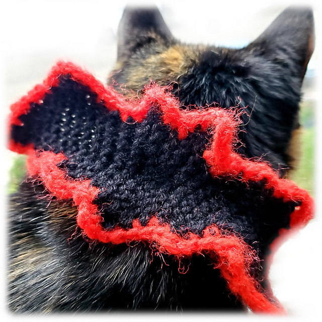 Bat Collar Harness