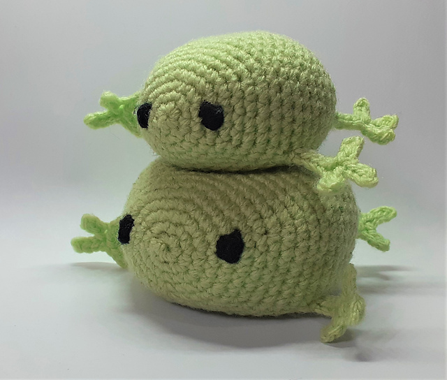 Chonky Frog