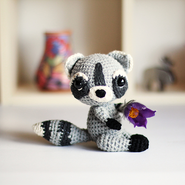 Raccoon Venya