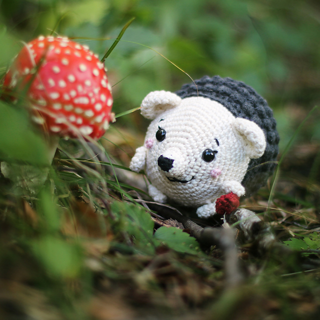 Hedgehog Philip