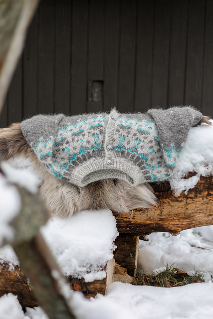 Winterfox Cardigan