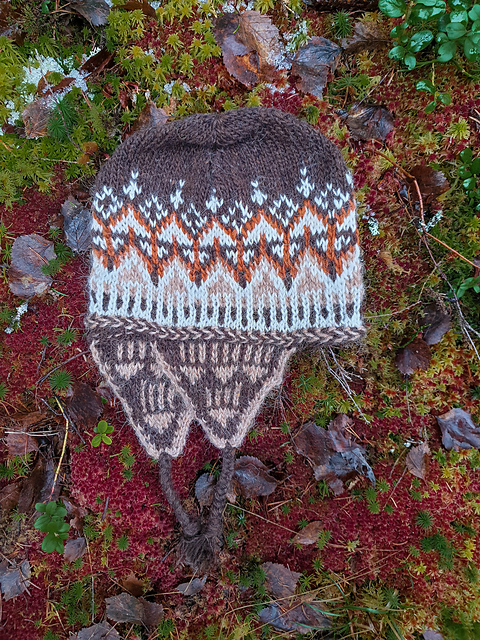 Dragonfly Earflap