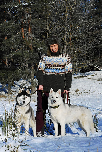 The DogMusher Sweater